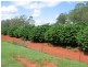 Childers QLD 4660