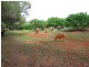 Childers QLD 4660