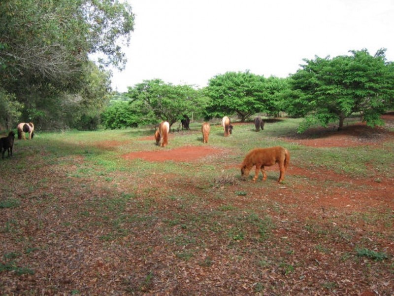 Childers QLD 4660