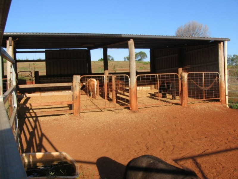 Childers QLD 4660