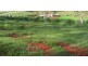Childers QLD 4660
