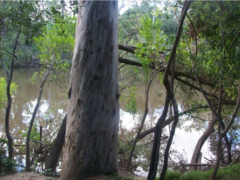 Isis River QLD 4660