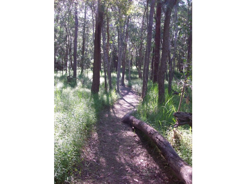 Isis River QLD 4660