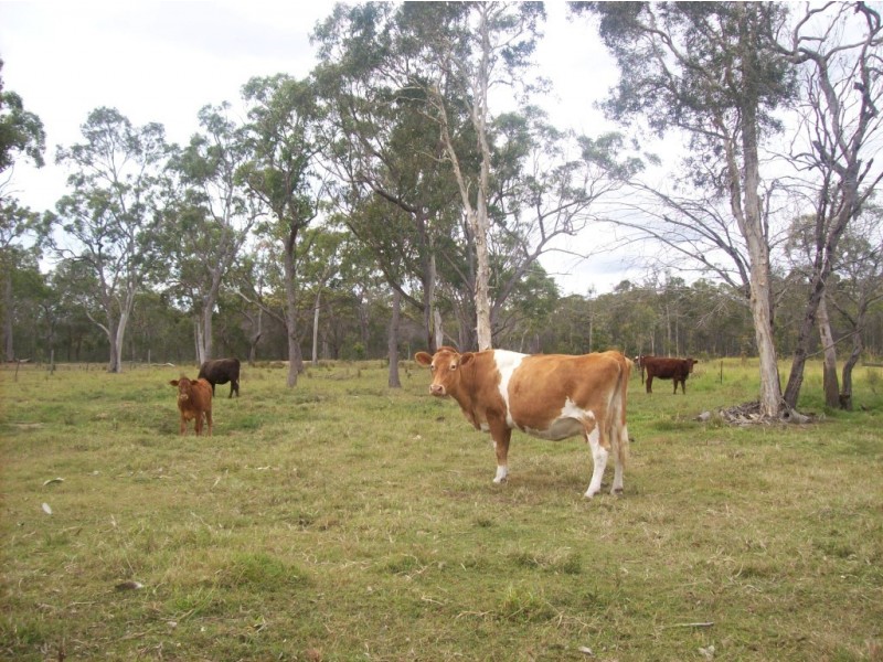 Buxton QLD 4660