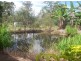Buxton QLD 4660