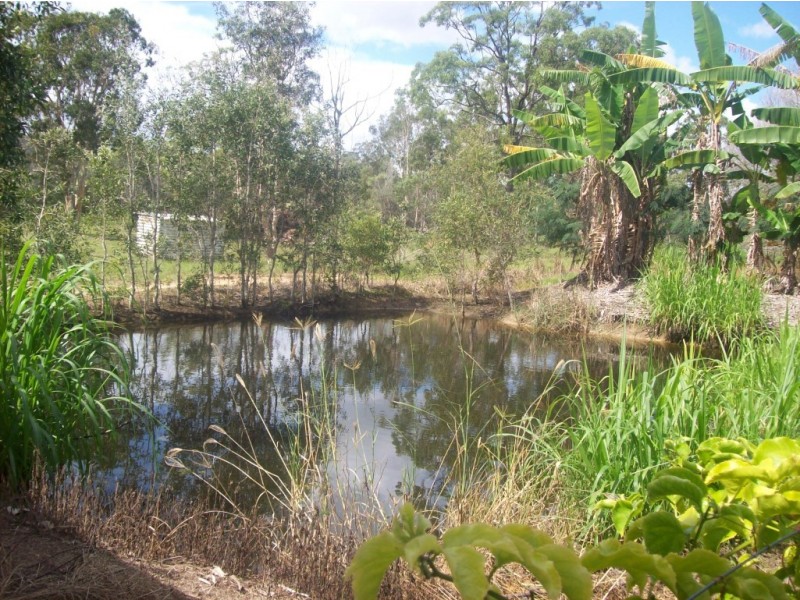 Buxton QLD 4660