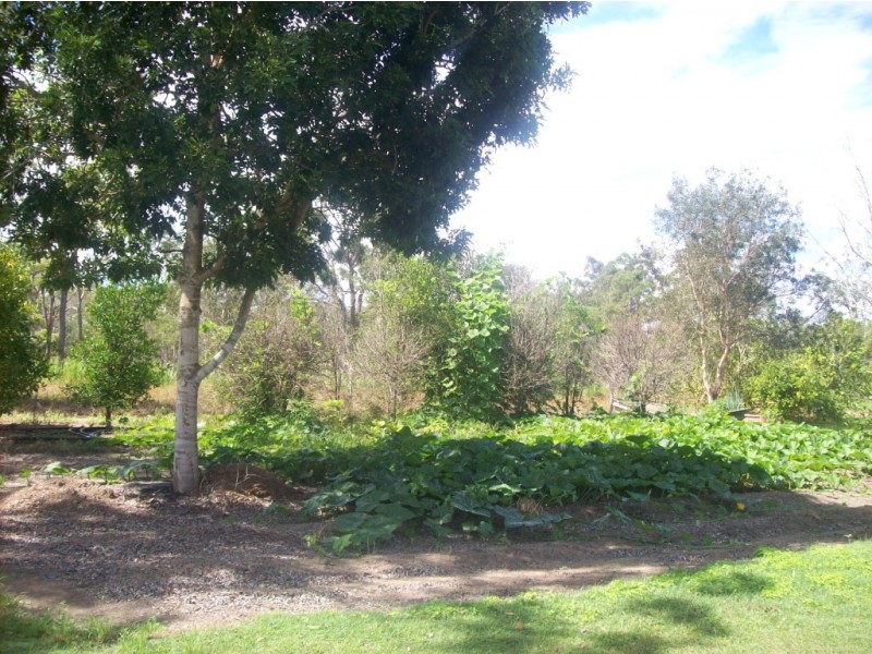 Buxton QLD 4660