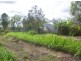 Buxton QLD 4660