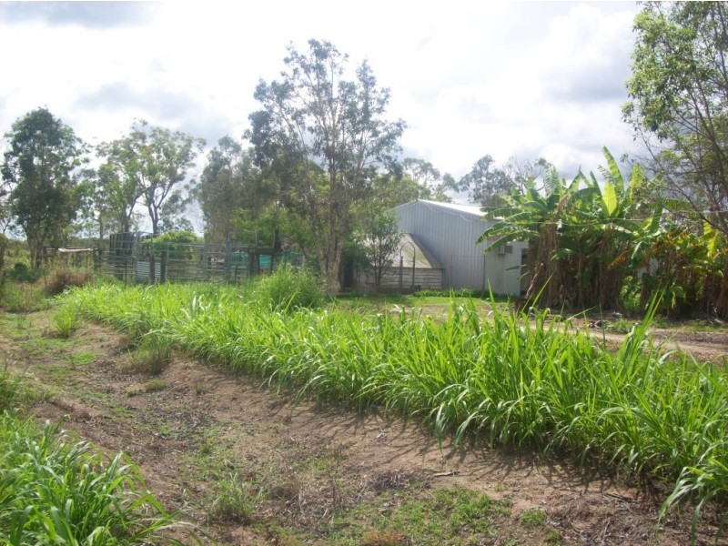 Buxton QLD 4660