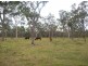 Buxton QLD 4660
