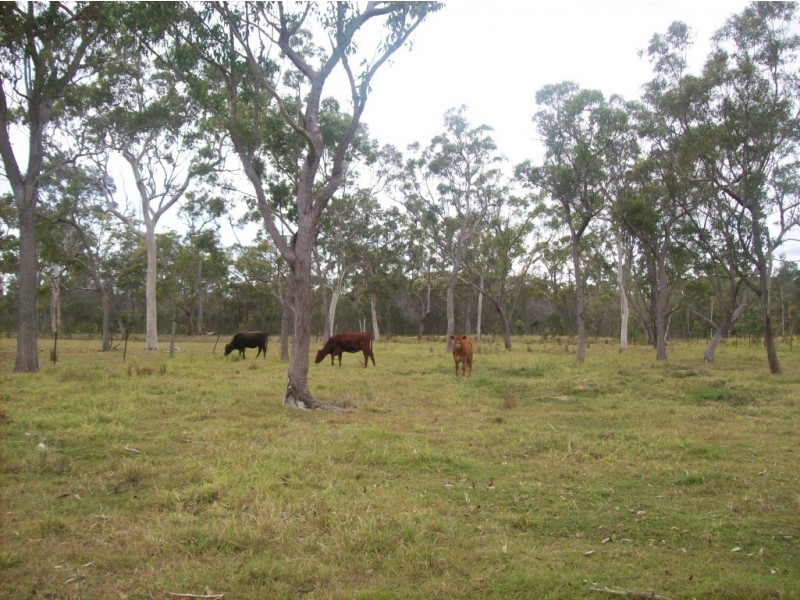 Buxton QLD 4660