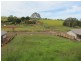 Apple Tree Creek QLD 4660