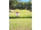 Apple Tree Creek QLD 4660