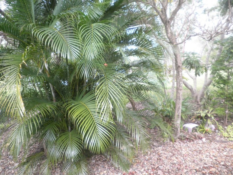 Isis River QLD 4660