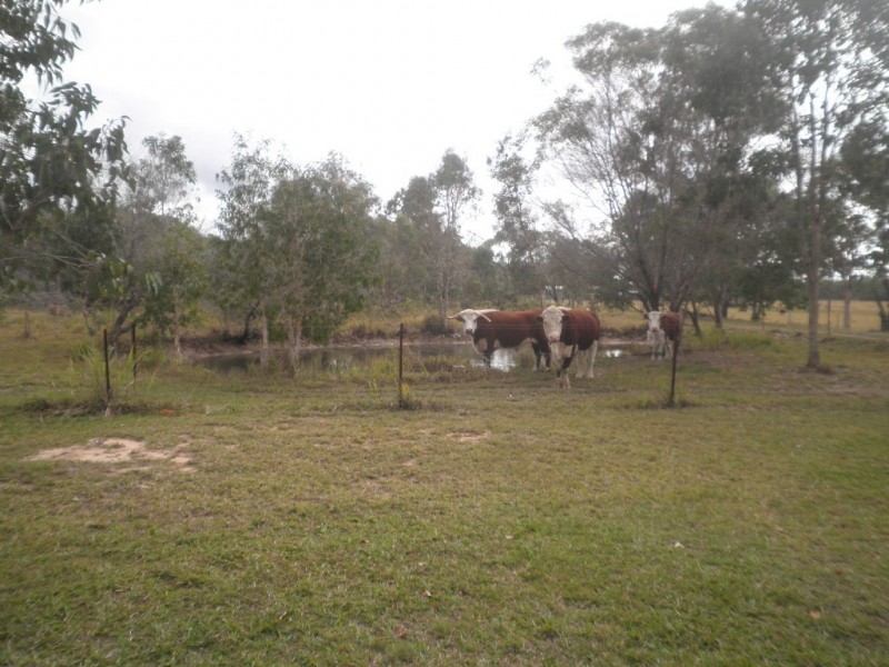 Isis River QLD 4660