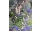 Horton QLD 4660