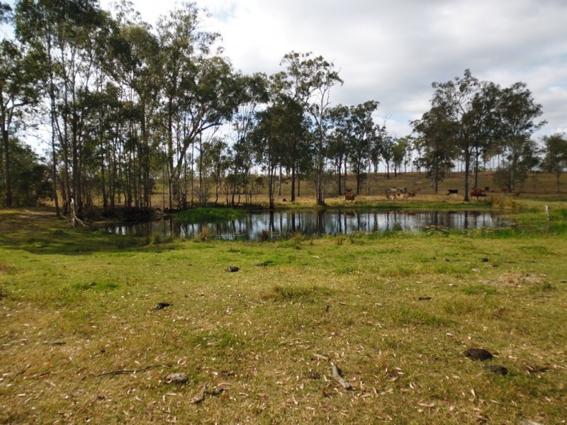 Golden Fleece QLD 4621