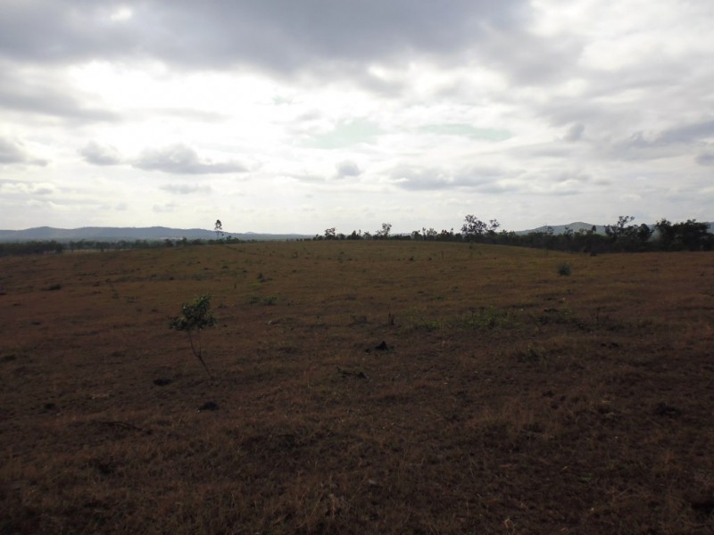 Golden Fleece QLD 4621