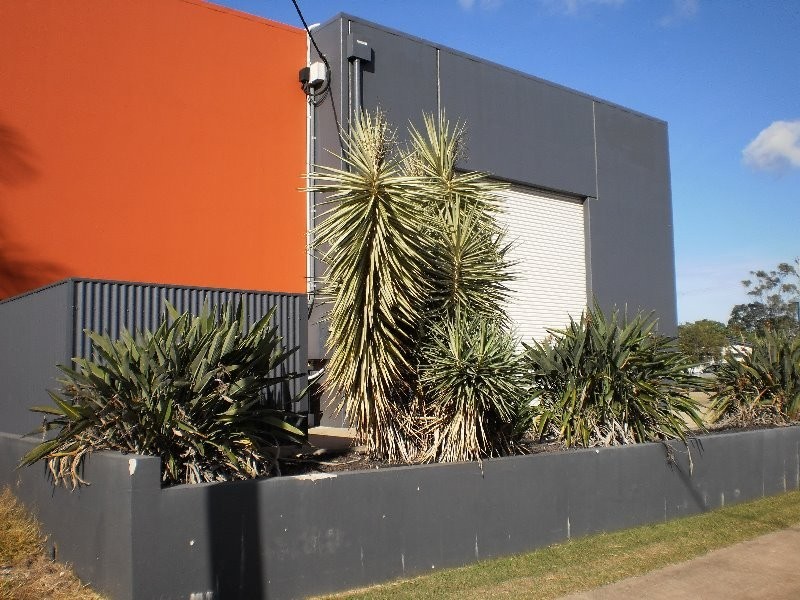 Bundaberg East QLD 4670