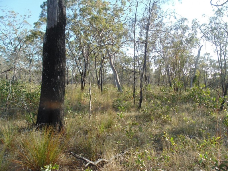 Torbanlea QLD 4662