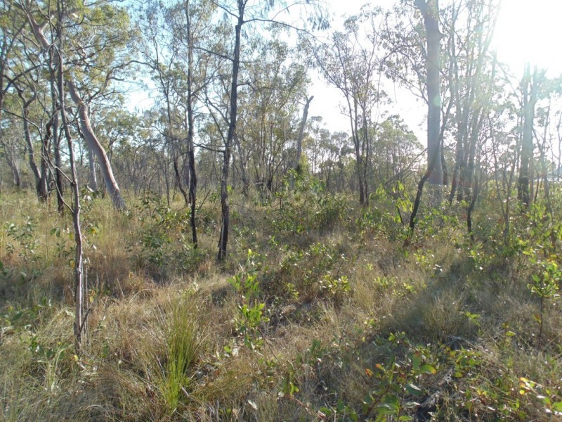 Torbanlea QLD 4662