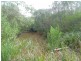 Cordalba QLD 4660
