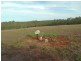 Cordalba QLD 4660