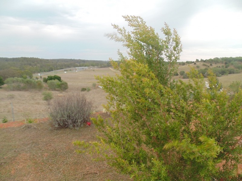 Apple Tree Creek QLD 4660