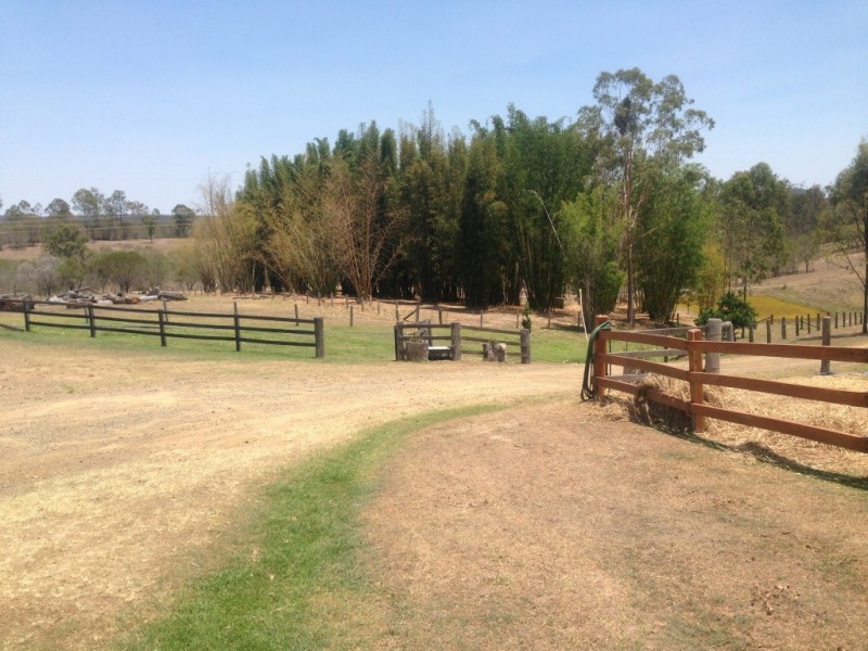 Horse Camp QLD 4671