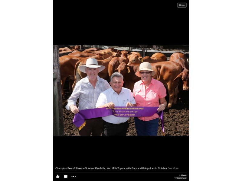 Apple Tree Creek QLD 4660