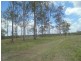 Apple Tree Creek QLD 4660