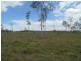 Apple Tree Creek QLD 4660