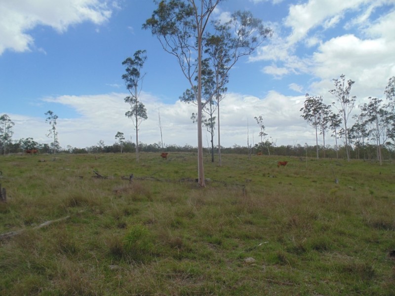 Apple Tree Creek QLD 4660