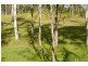 Apple Tree Creek QLD 4660