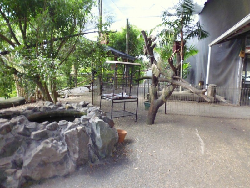 Apple Tree Creek QLD 4660