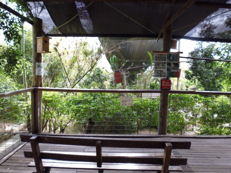 Apple Tree Creek QLD 4660
