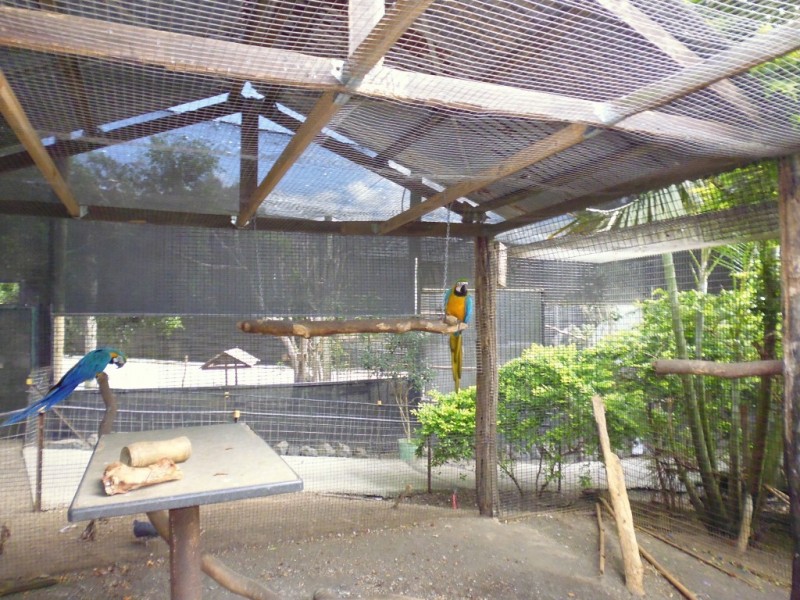 Apple Tree Creek QLD 4660