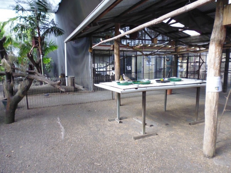 Apple Tree Creek QLD 4660