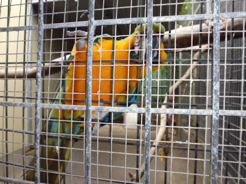 Apple Tree Creek QLD 4660