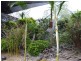 Apple Tree Creek QLD 4660