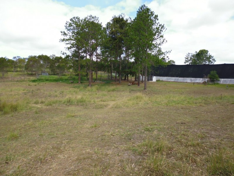 Apple Tree Creek QLD 4660