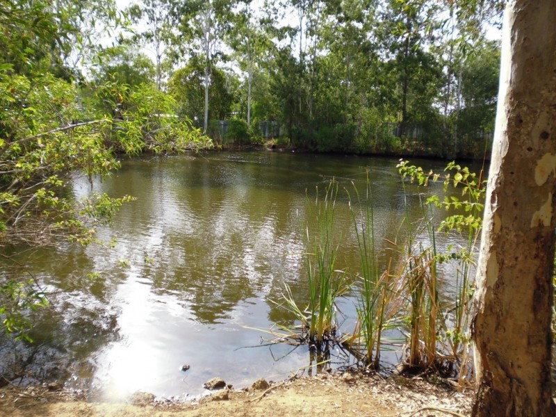 Apple Tree Creek QLD 4660