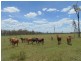 Booyal QLD 4671
