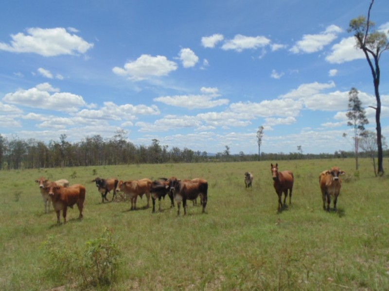 Booyal QLD 4671