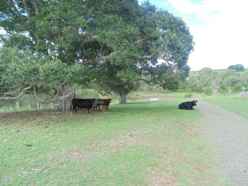 Apple Tree Creek QLD 4660