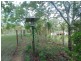 Apple Tree Creek QLD 4660