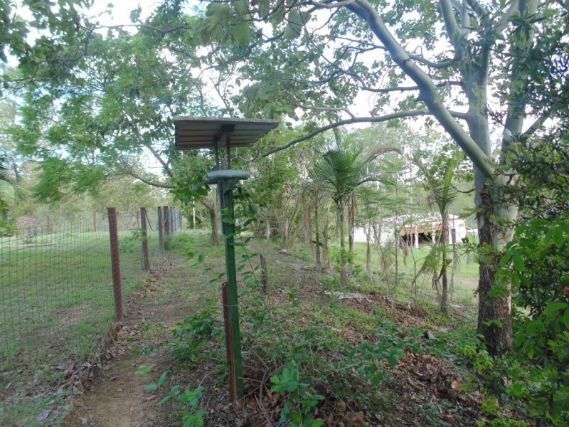 Apple Tree Creek QLD 4660