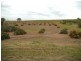 South Isis QLD 4660