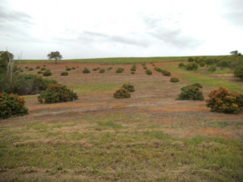 South Isis QLD 4660
