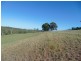 Apple Tree Creek QLD 4660